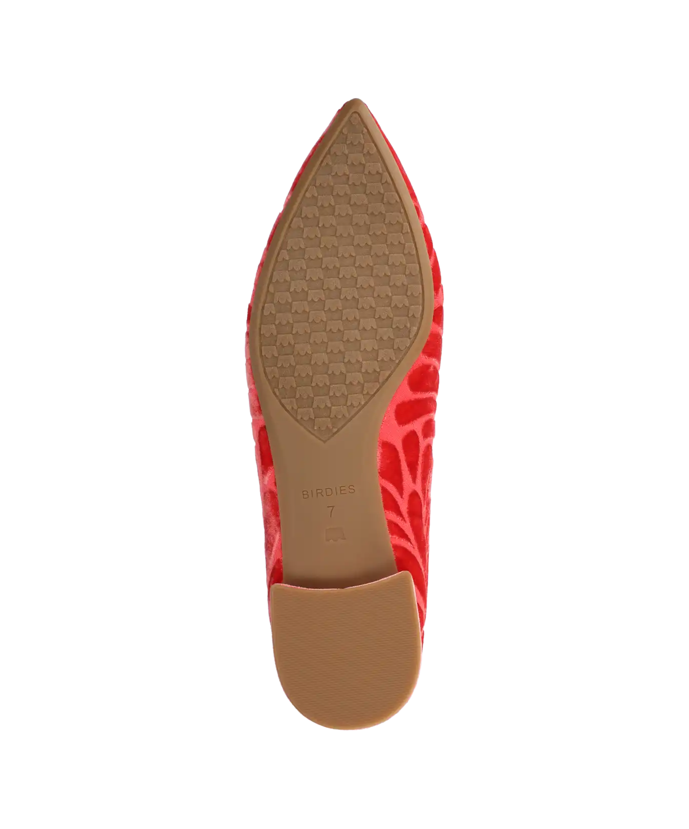The Starfinch 15 Embroidery - Flame Velvet