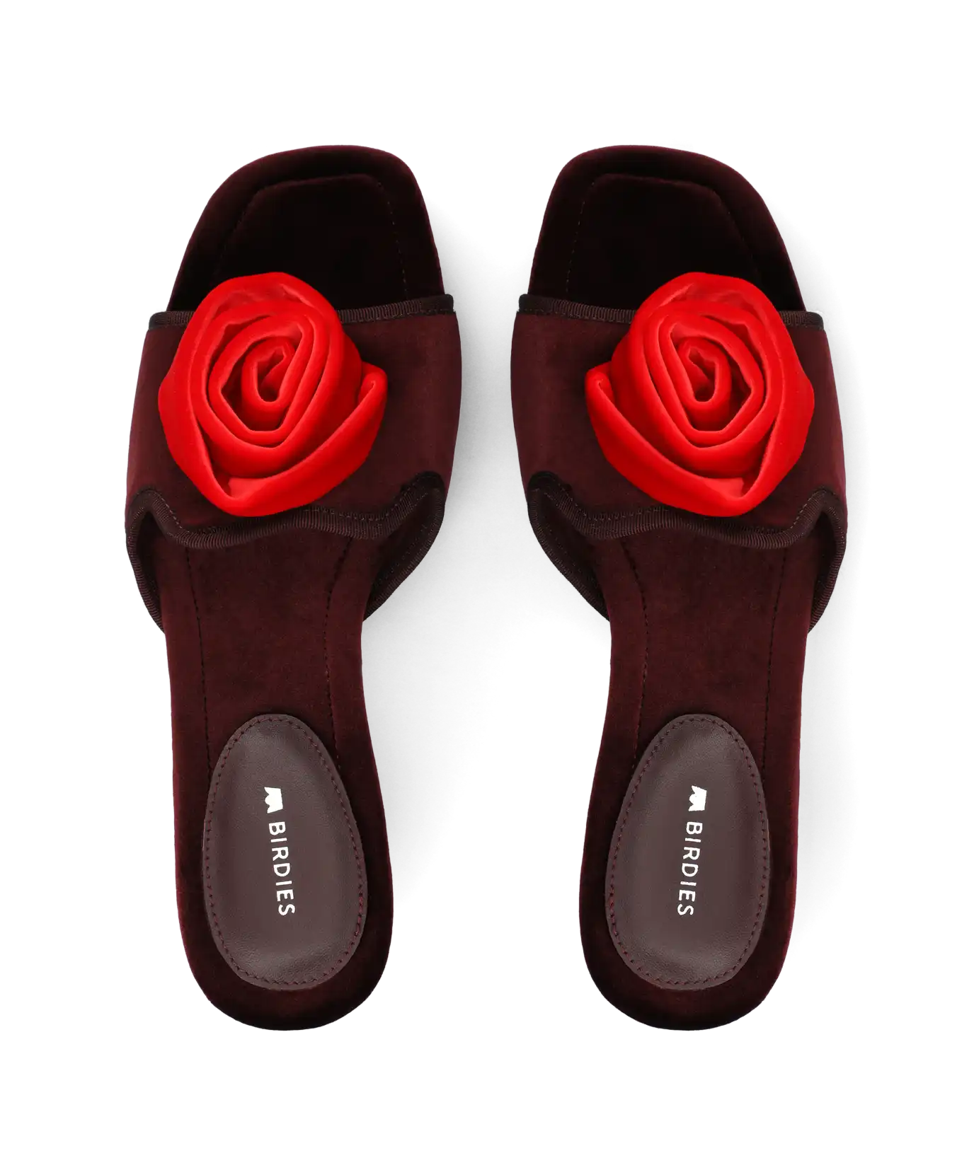 The Kiwi Kitten Flower - Burgundy Velvet