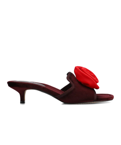 The Kiwi Kitten Flower - Burgundy Velvet